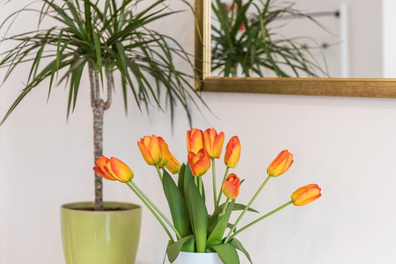 Apartament Guestready - The New Made In Porto Zewnętrze zdjęcie